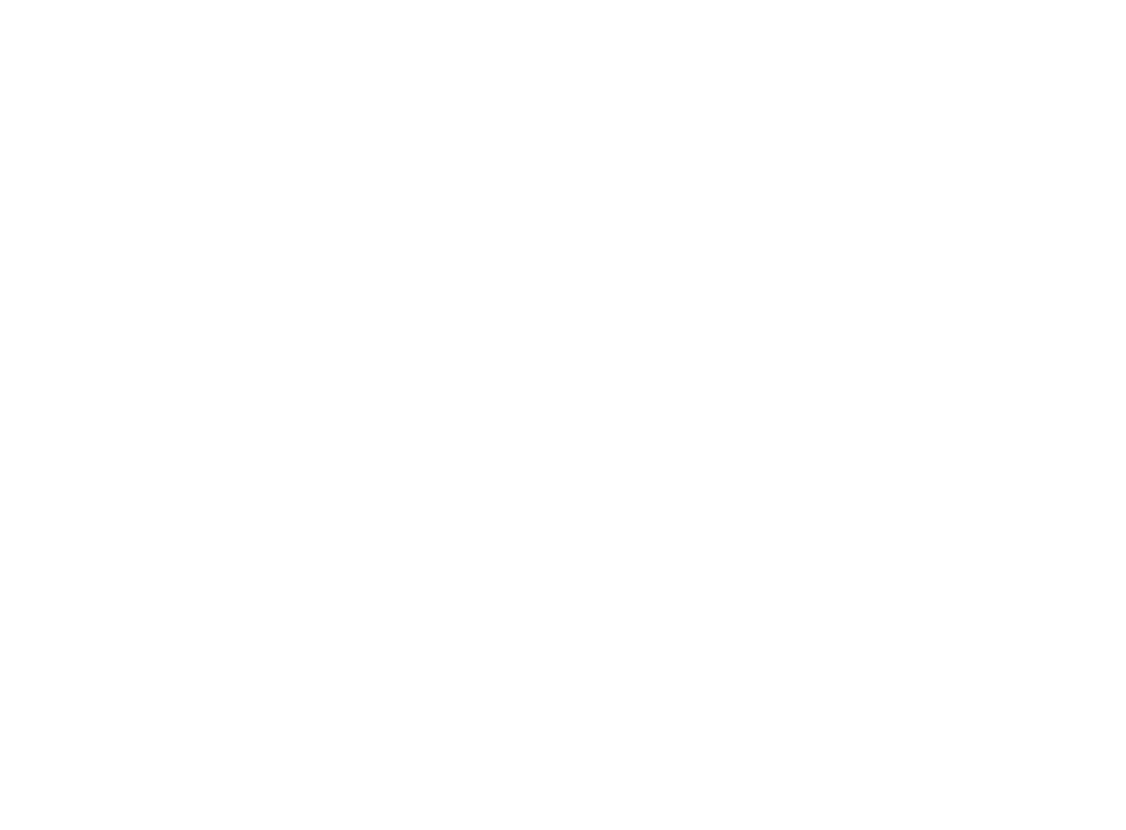 55 Informática